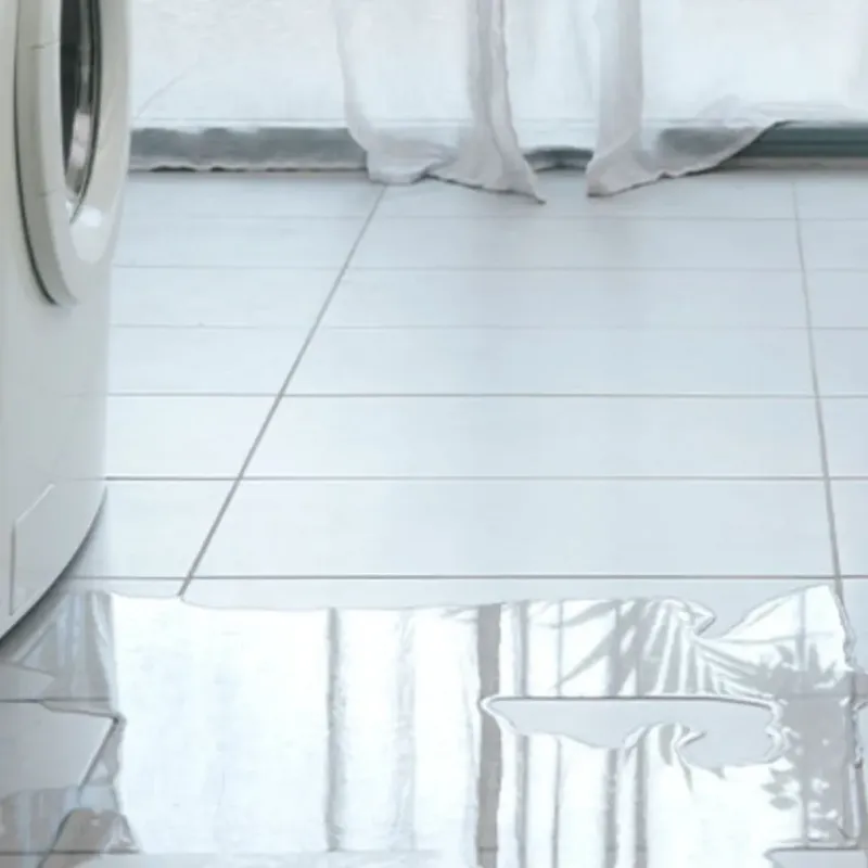 Appliance Leak Cleanup in Cecil-Bishop, PA