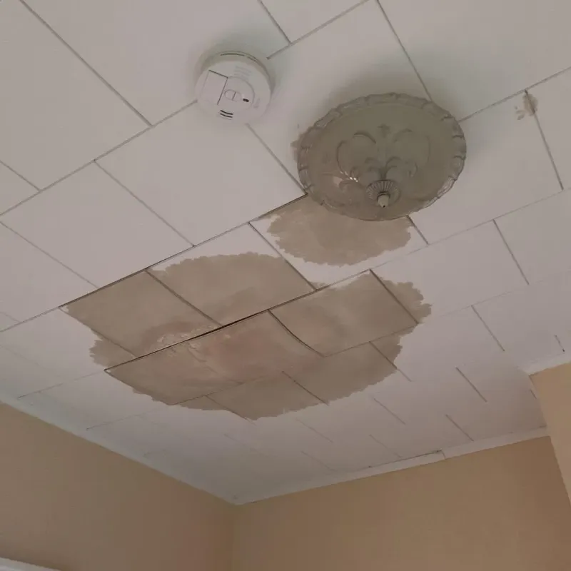 Ceiling Water Damage Repair in Cecil-Bishop, PA