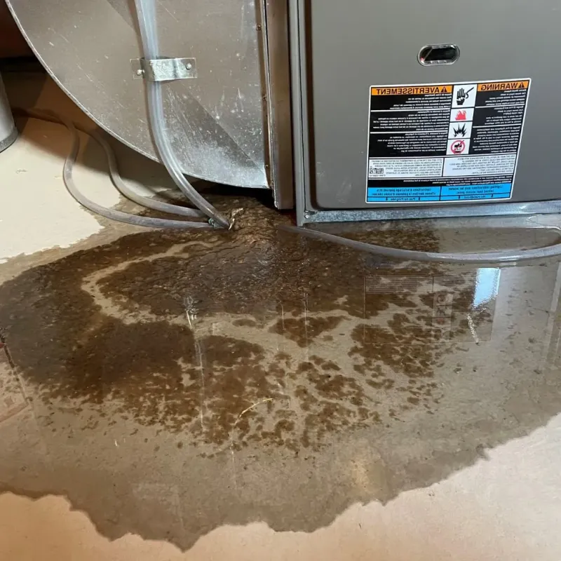Pipe Burst and Leak Restoration in Cecil-Bishop, PA