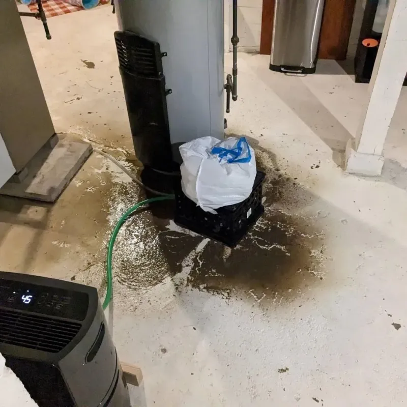 Sewage Backup Cleanup Service in Cecil-Bishop, PA